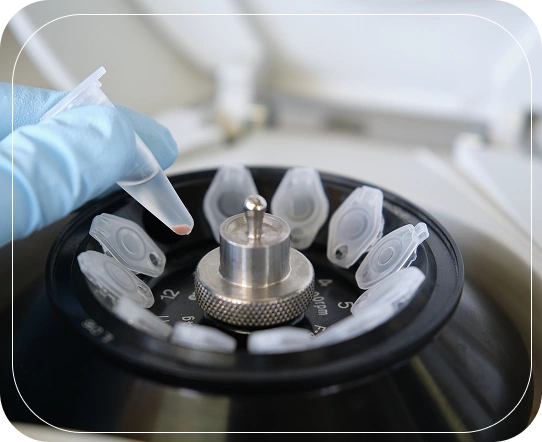 Why is Frozen Embryo Transfer Recommended?