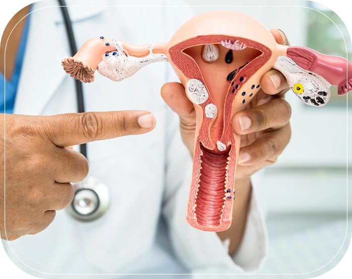 Causes & Risk Factors of Blocked Fallopian Tube