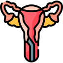 Endometrial biopsy (if needed)