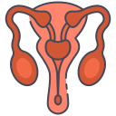 Visible swelling that may resemble a “bag of worms”