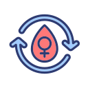 Longer menstrual cycles (longer than 38 days)