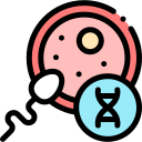 Problems with fragmentation of sperm DNA