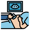 Transvaginal ultrasound icon