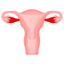 Enlarged uterus