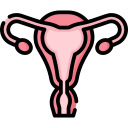 Uterine artery embolisation.
