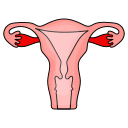 Abnormal vaginal discharge