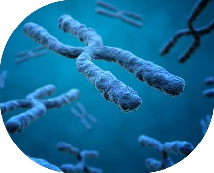 baby_geneticproblem-2-1